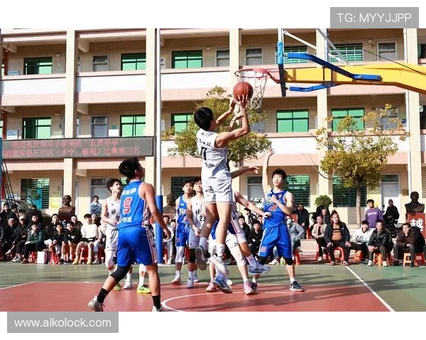 新2体育：结合国际先进体育理念，创新青少年体育培训方法，塑造多元体育人才