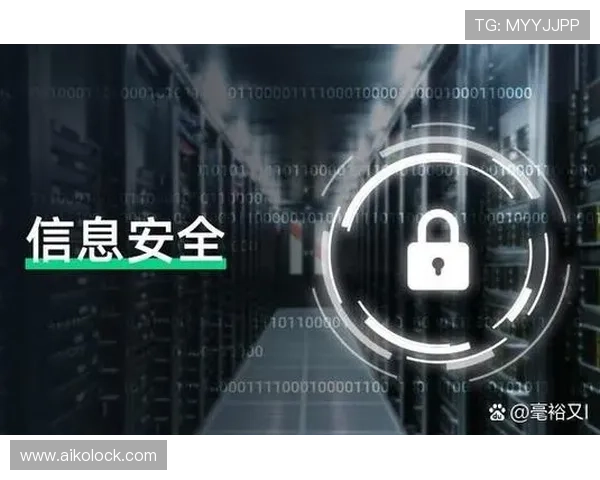 OG真人电子网站如何保障玩家资金安全与隐私保护为您提供专业的安全保障措施详解